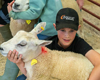 Longtown Mart Young Handlers sponsored by Farmers Guardian - 8th August 2024-12